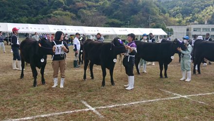 第４回福岡県肉用種牛共進会が開催！